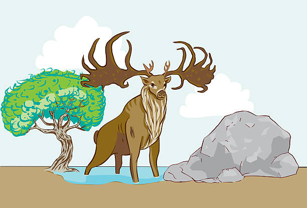 elk vector art illustration