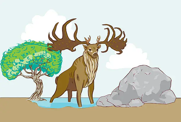 Vector illustration of elk
