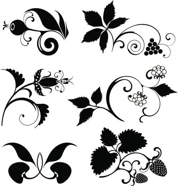 Vector illustration of Berries set