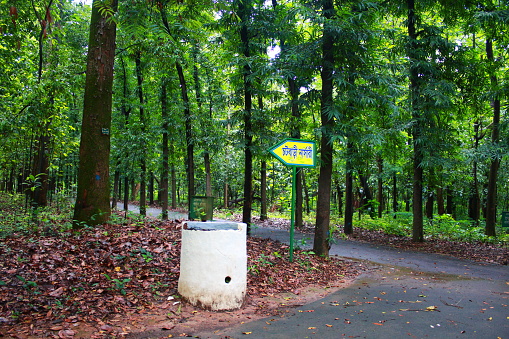 A sign in a forest