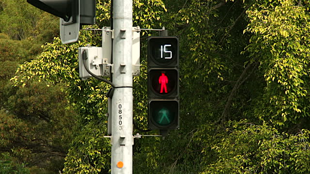 Pedestrian crossing traffic light changes from green to red with a countdown timer