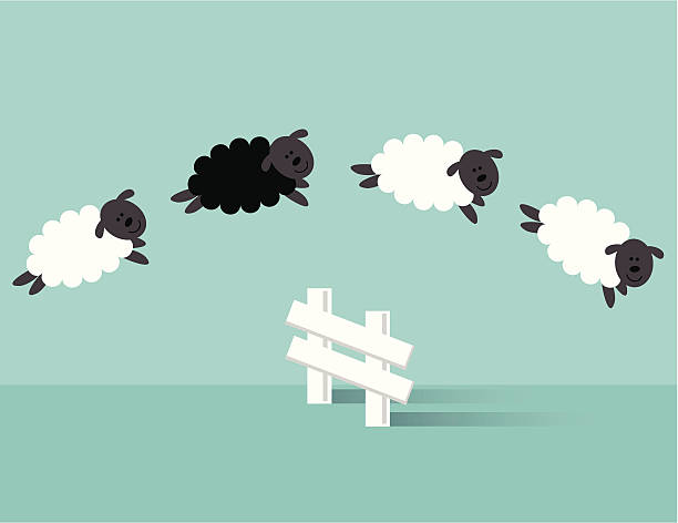 прыжки овца - sheep stock illustrations