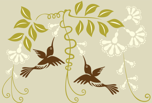 Vector Illustration of hummingbirds couple and stylish vine flowers.