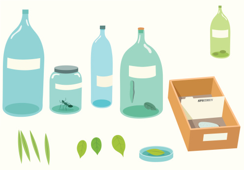 A biologist's collection of specimens collected on an adventure.