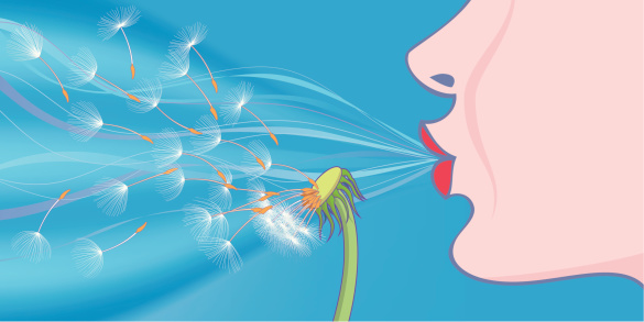 Illustration of a beautiful woman blowing the parachutes from a dandelion seed head created using gradient meshes and flat colours.
