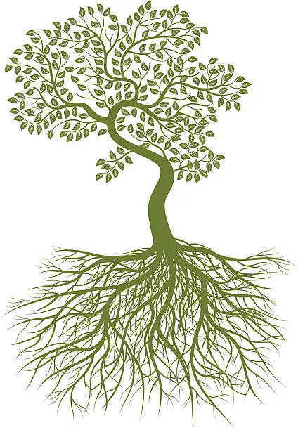 Vector illustration of Small bent tree and roots.