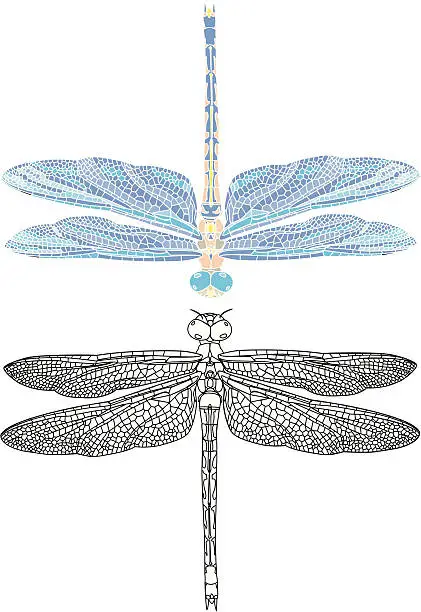 Vector illustration of detailed dragonfly illustation outline and mosaic style