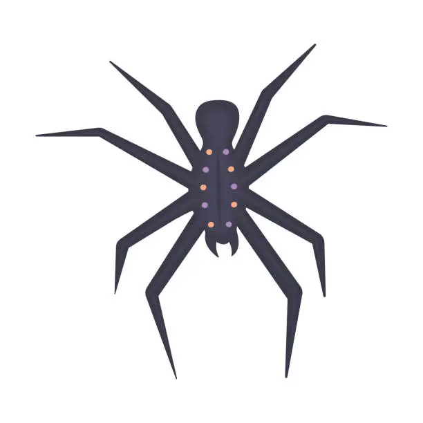 Vector illustration of Dark poisonous tropical spider