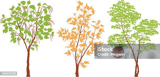 3 つの木 - アメリカキササゲのベクターアート素材や画像を多数ご用意 - アメリカキササゲ, 樹木, かえでの葉