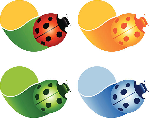 nature ladybird, spring, leaf, sun, illustration, lucky, orange, green, blue, nature seven spot ladybird stock illustrations