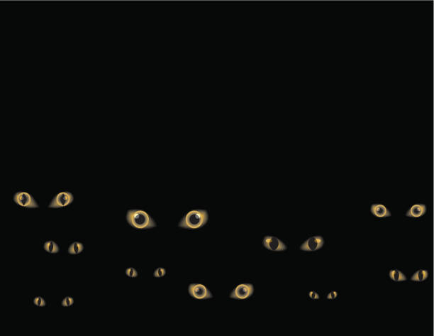 istock Animated image of sets of eyes staring on a black background 165531615