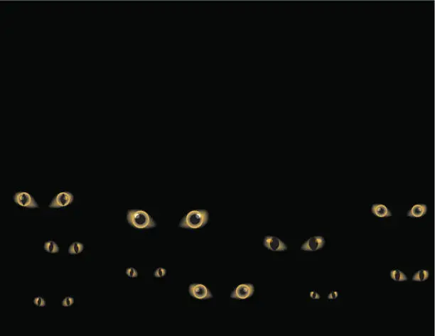 Vector illustration of Animated image of sets of eyes staring on a black background