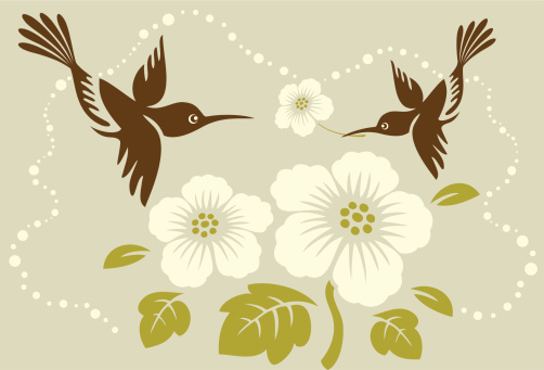 Vector illustration of two humming birds & tropical flowers.