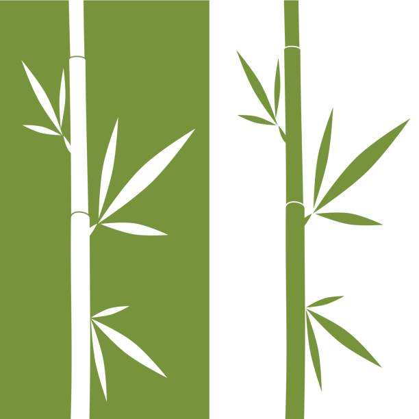 An illustration of mirrored bamboo vector art illustration