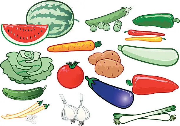 Vector illustration of Vegetable