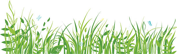 草の上に花とバタフライ - uncultivated点のイラスト素材／クリップアート素材／マンガ素材／アイコン素材