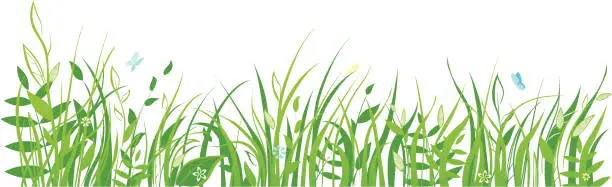 Vector illustration of Grass with flowers and butterflies