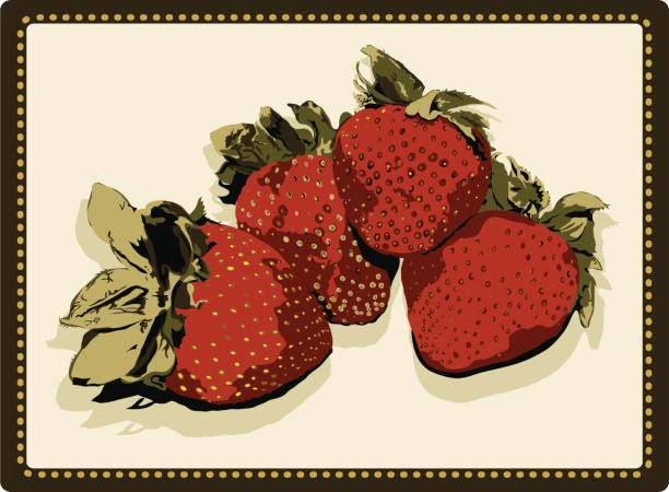 Realistic Strawberries Vector vector art illustration