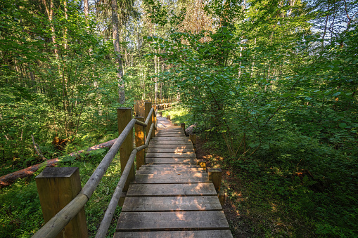 Wooden stairs and pathway at Gauja National Park - Sigulda, Latvia