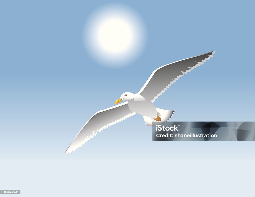 Mouette - clipart vectoriel de Mouette libre de droits