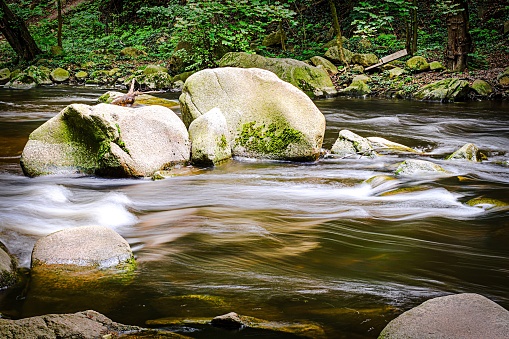 Wilder Flussverlauf der Bode im Naturschutzgebiet Harz