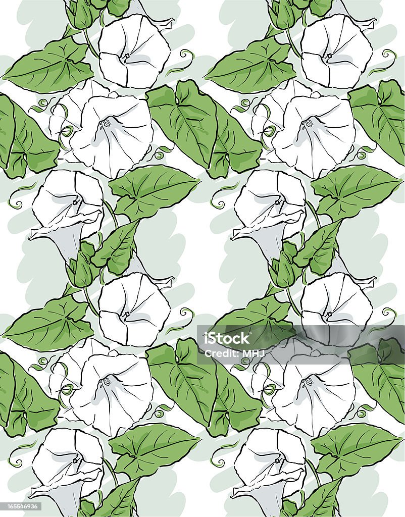 White Weed Pattern White Bindweed Seamless Pattern Stock Illustration - Download Image Now ...