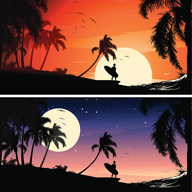 illustrations, cliparts, dessins animés et icônes de toute la journée de surf - surfing men hawaii islands wave