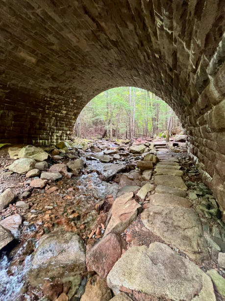 istock Gorge Path Under Park Loop Road in Acadia National Park, Maine, USA 1655487369