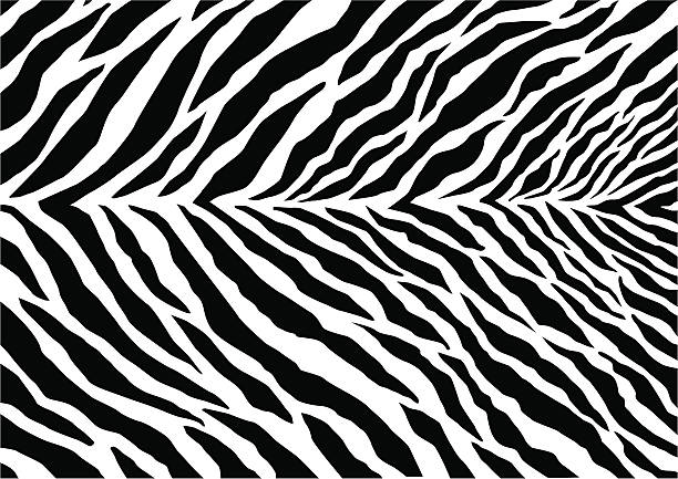 ilustrações de stock, clip art, desenhos animados e ícones de marca de zebra - zebra