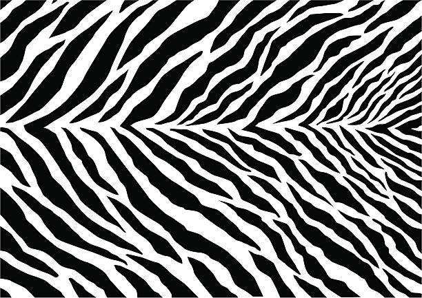 Zebra Print Vector artwork of a zebra pattern zebra stripe pics stock illustrations