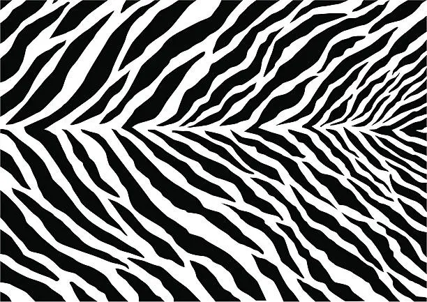 Vector illustration of Zebra Print