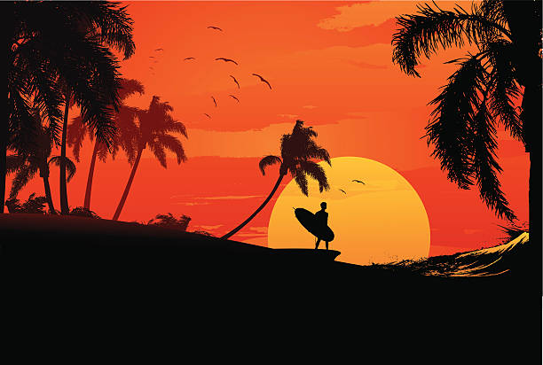 bildbanksillustrationer, clip art samt tecknat material och ikoner med sunset surfer - surfing