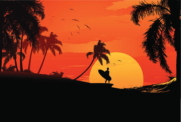 sunset surfer man with longoboard walking to the ocean at sunset. hawaii islands illustrations stock illustrations