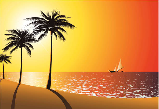 ilustraciones, imágenes clip art, dibujos animados e iconos de stock de atardecer en la playa-vector - white background image australia sunlight