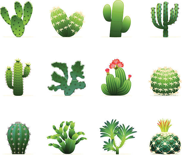 illustrazioni stock, clip art, cartoni animati e icone di tendenza di icona set di cactus - cactus thorns