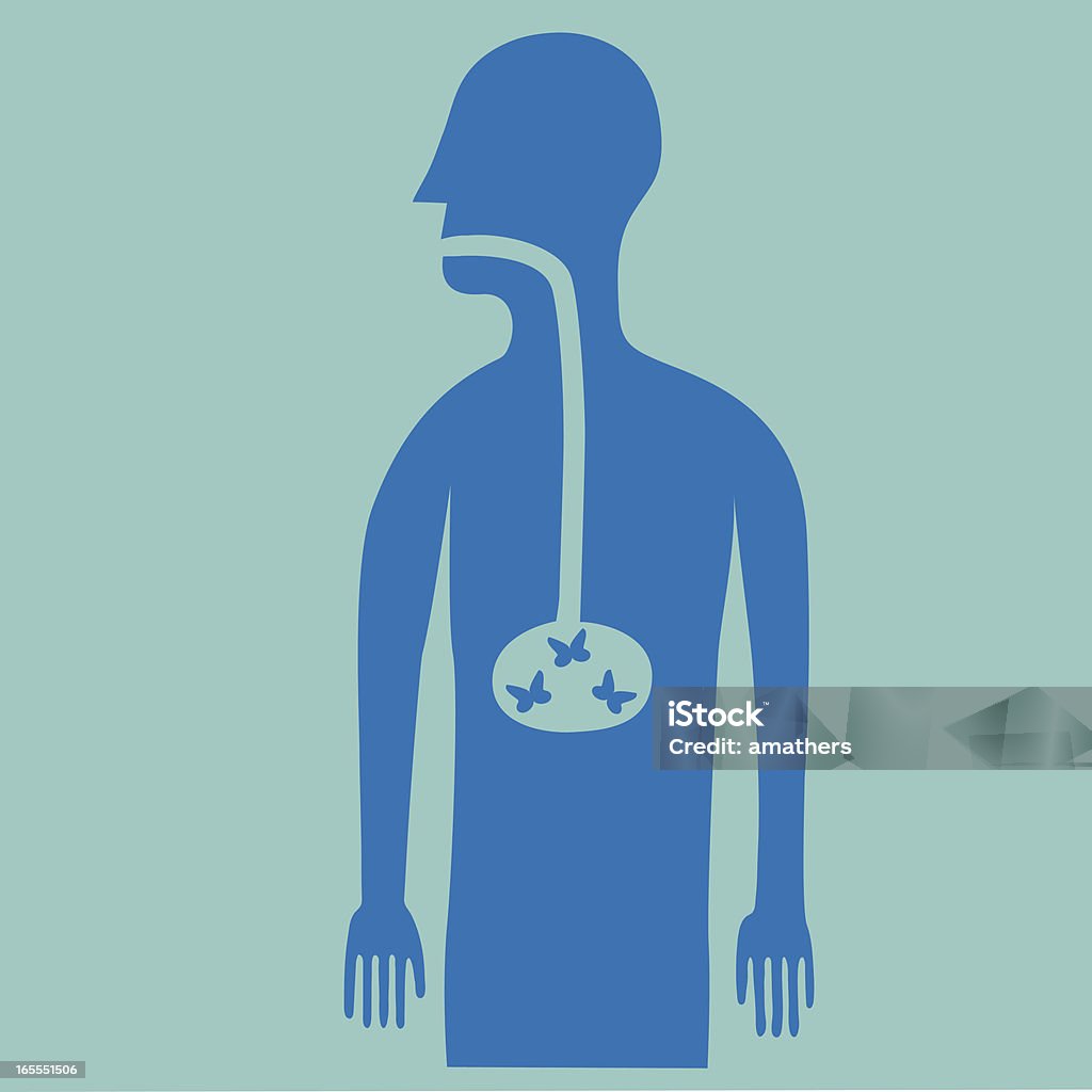 Schmetterlinge - Lizenzfrei Bauch Vektorgrafik