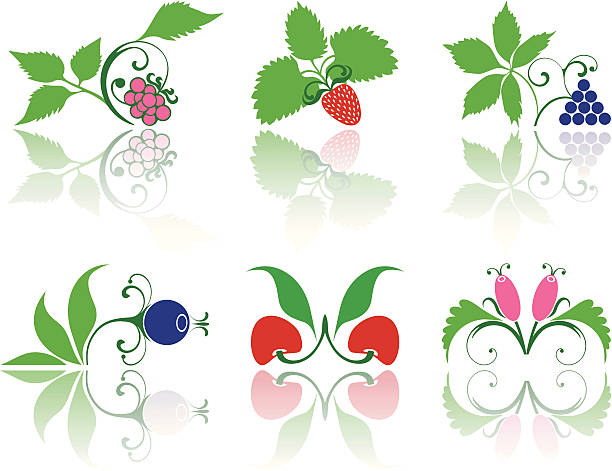 zestaw kolorowe jagody - berry fruit blueberry floral pattern strawberry stock illustrations