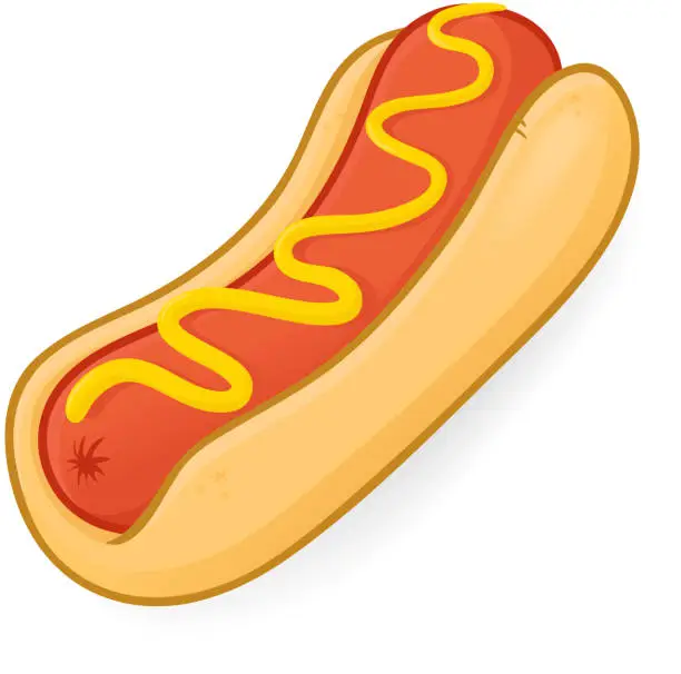 Vector illustration of Hot Dog