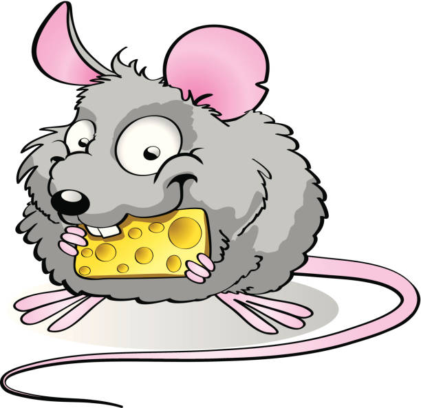 Vector de Animales bebé ratón contorno Simple negro blanco de dibujos animados lindo dibujos animados animales roedores ratones para Descargar Gratis | FreeImages Vector de Animales bebé ratón contorno Simple negro blanco de dibujos animados lindo dibujos animados animales roedores ratones para Descargar Gratis | FreeImages