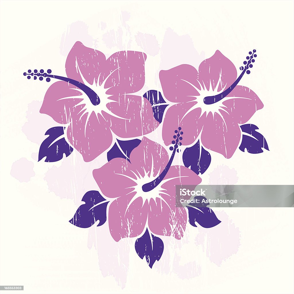 flowers tropic flowers illustration...editable and separate layers...include files:eps8,ai10,300dpi 4167x4167 jpg Hibiscus stock vector