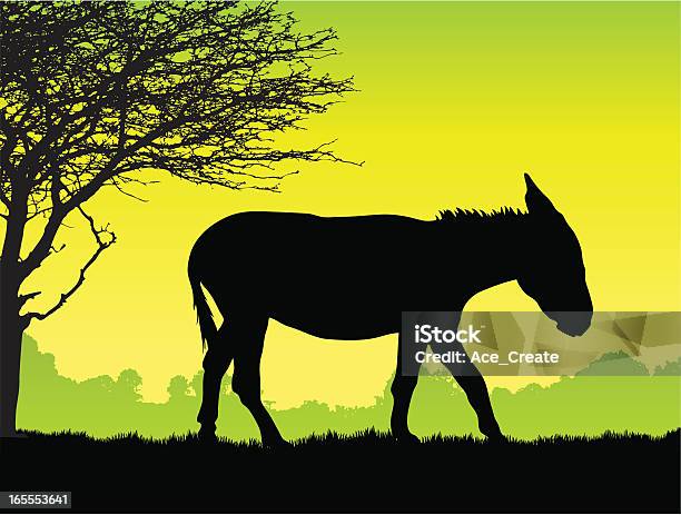 Donkey Silhouette - Immagini vettoriali stock e altre immagini di Somaro - Somaro, Agricoltura, Ambientazione