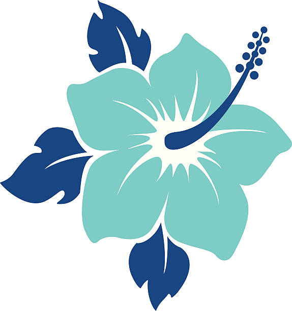 illustrazioni stock, clip art, cartoni animati e icone di tendenza di ibisco - fiore tropicale