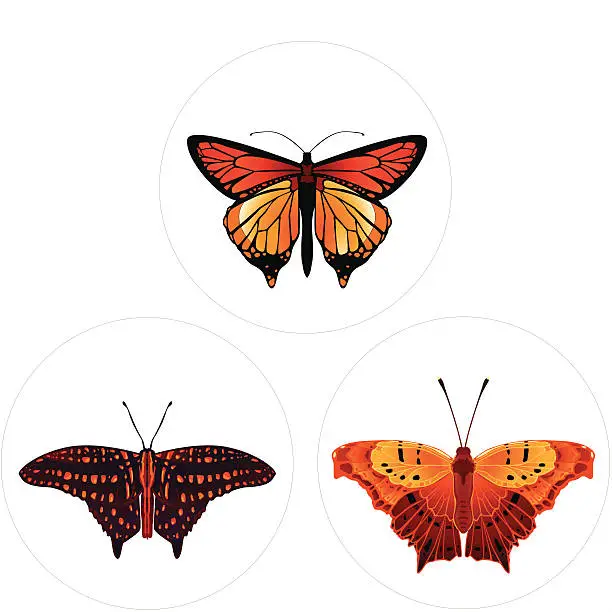 Vector illustration of Butterflies Collection - Red