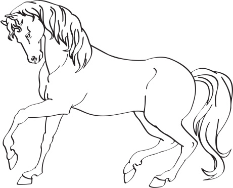 An a vector illustration of horse.