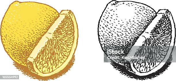 Limõesfruta - Arte vetorial de stock e mais imagens de Citrino - Citrino, Comida, Fruta