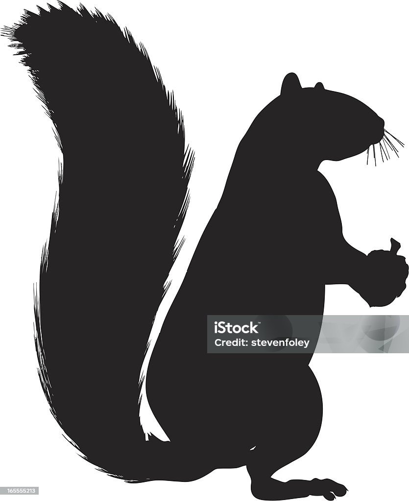 Squirrel - Grafika wektorowa royalty-free (Wiewiórka)
