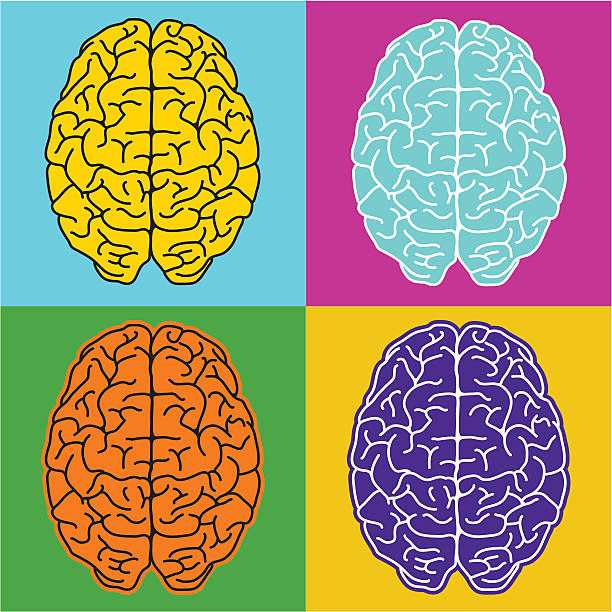 Pop brains vector art illustration
