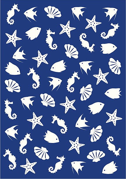 sea animals - denizyıldızı illüstrasyonlar stock illustrations