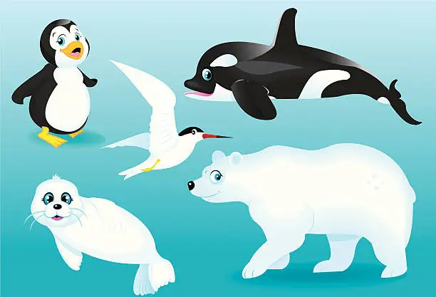 Vector illustration of POLAR ANIMALS