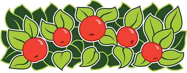 Vector illustration of apples and leaves